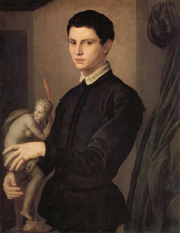 Agnolo Bronzino Portrait d'un sculpteur on d'un jeune amateur